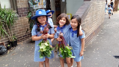 How does your Garden Grow?