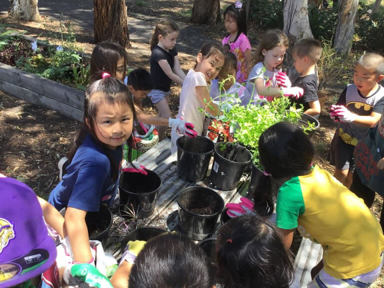 SMOOSH - children gardening
