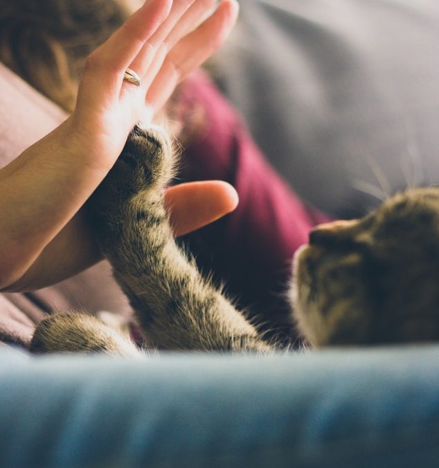 Mum and Dad: You deserve a big high-five