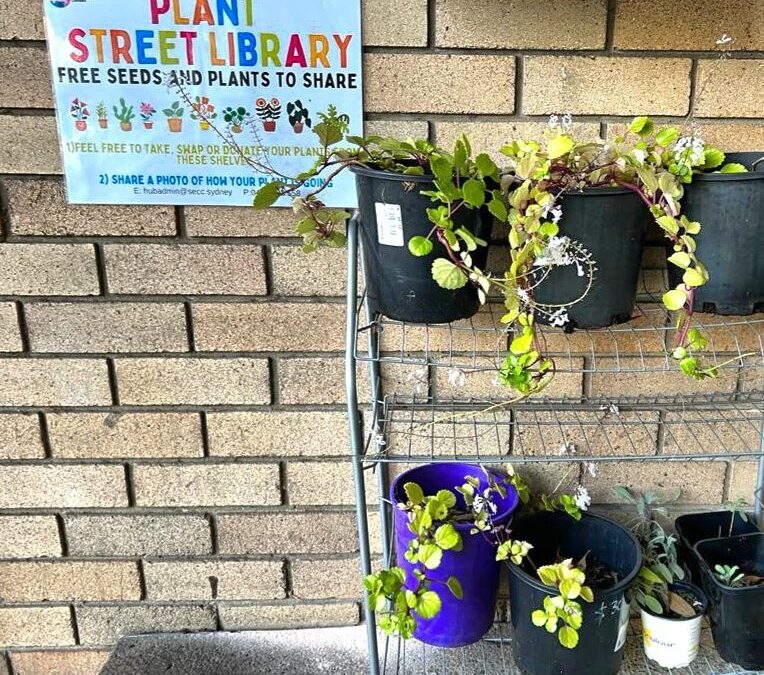 SECC propagates a Plant Street Library in Mascot