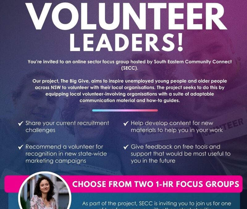 Calling all Volunteer Leaders!