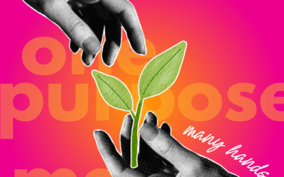 The SECC 2025-2026 Annual Report is here!